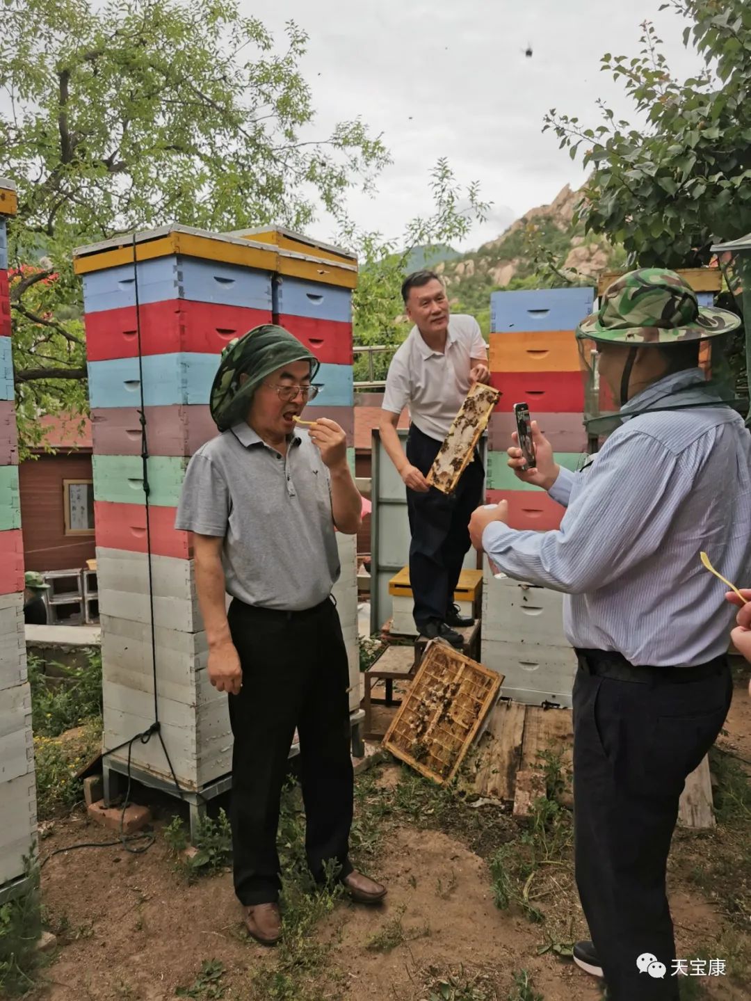美国绿色生态专家于怡然教授一行到访大阳集团娱乐网址777成熟蜂蜜示范基地